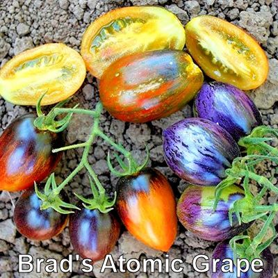 02atomic grape.jpg